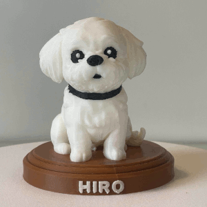 Pet 3D Model